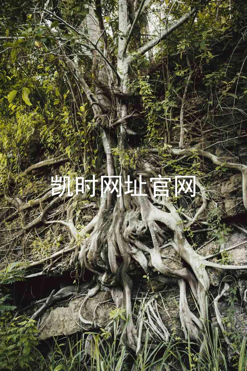 凯时网址官网