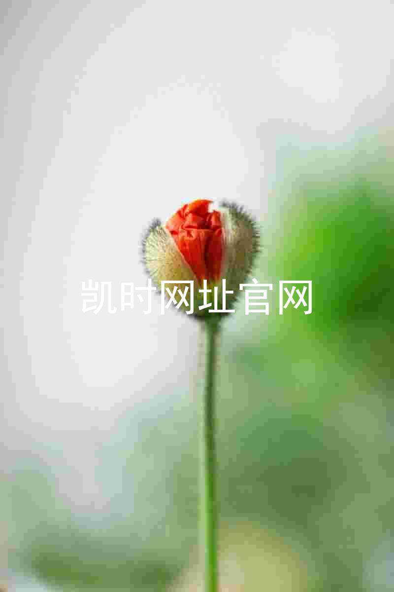 凯时网址官网